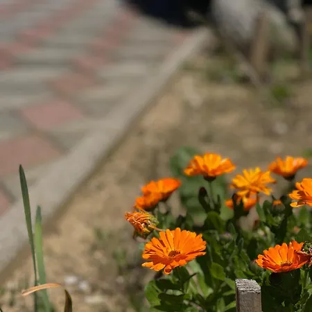 Sarajevo With Garden, Kids Pool And Calm Area וילה *