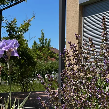 Villa Sarajevo Villa With Garden, Kids Pool And Calm Area *